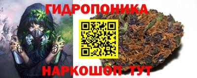 скорость Лесосибирск